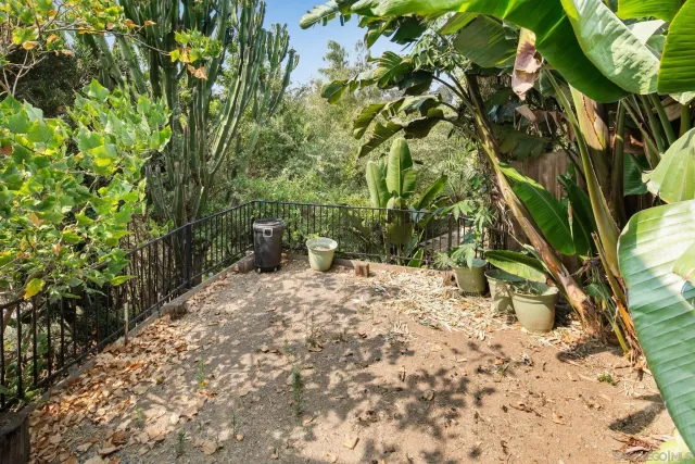 a view of a yard with plants and trees