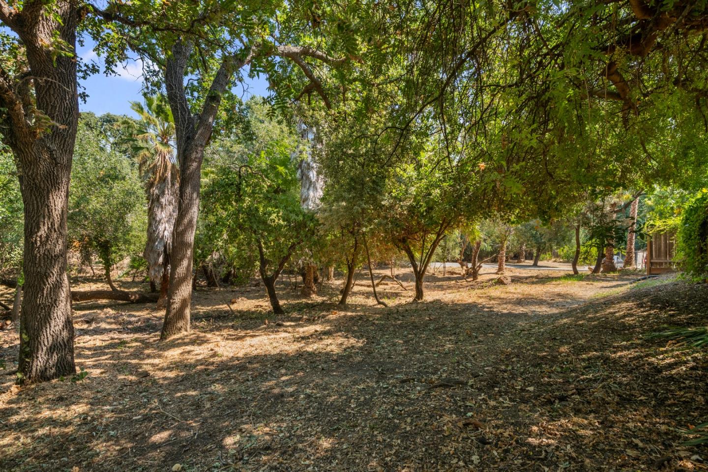 761 Fleming Avenue San Jose, CA 95127 - Photo 11 of 19 a view of empty space with trees