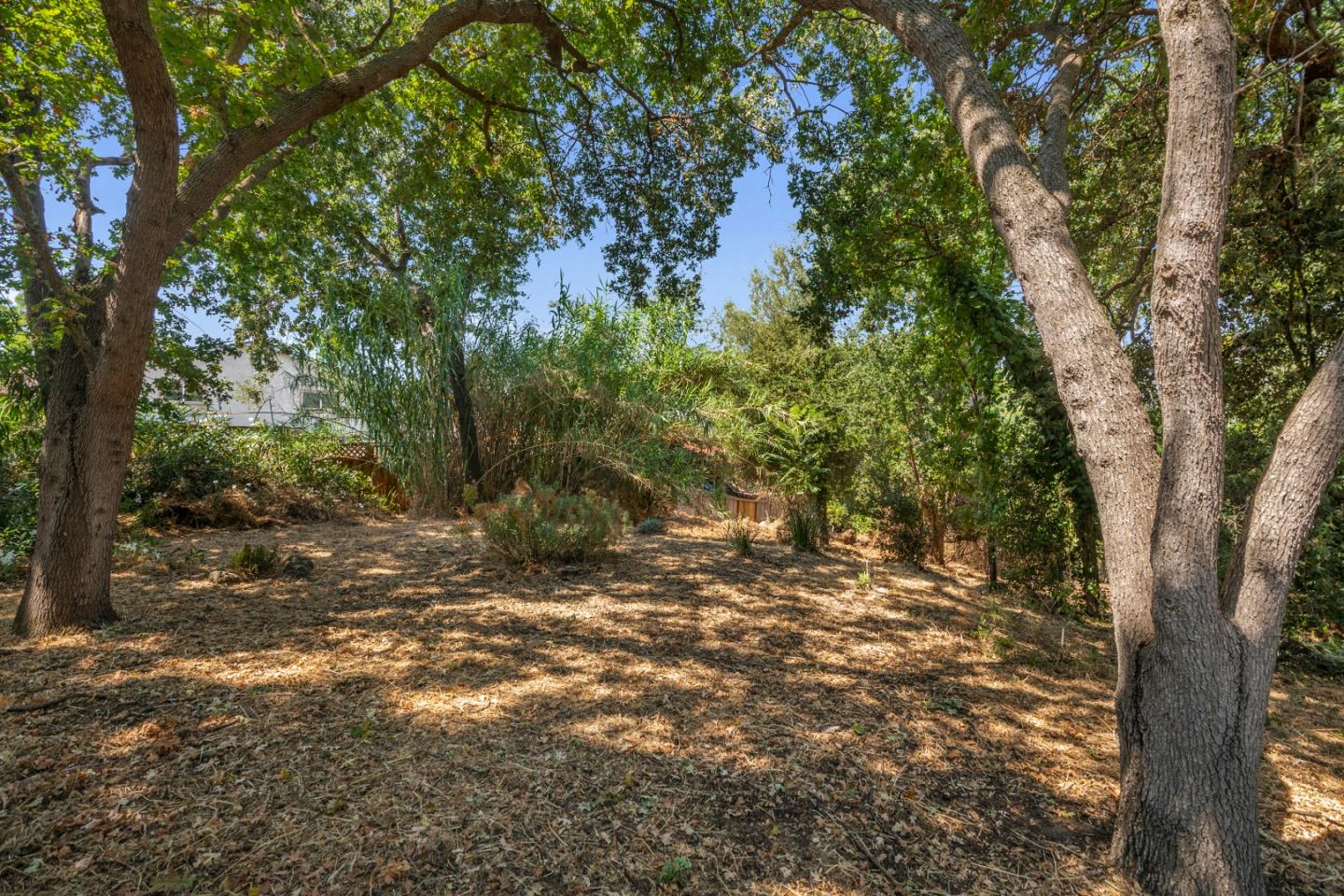 761 Fleming Avenue San Jose, CA 95127 - Photo 13 of 19 a view of a tree