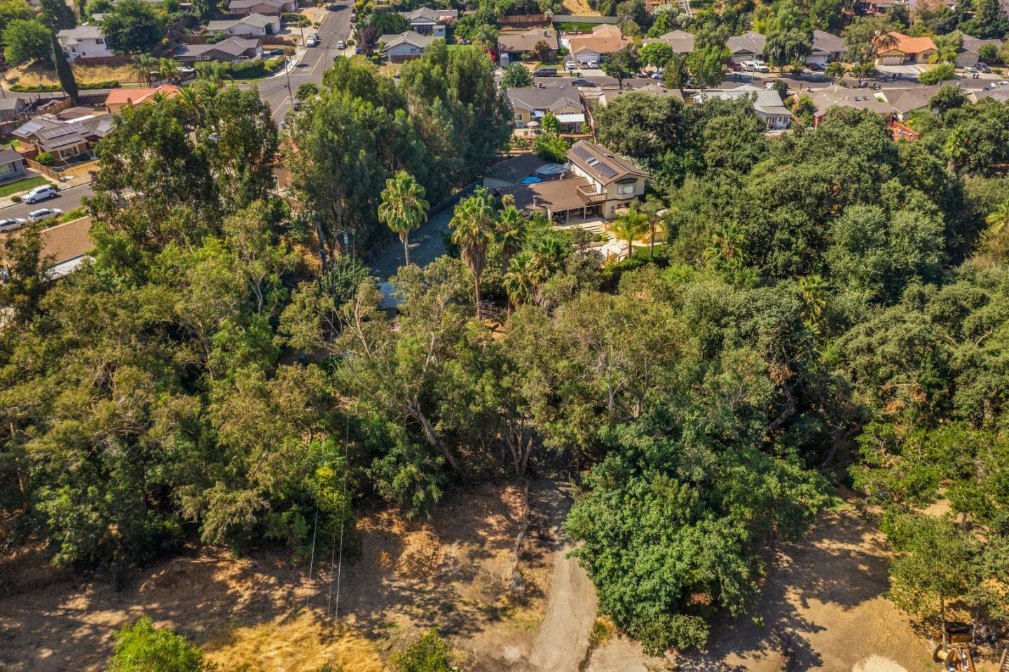 761 Fleming Avenue San Jose, CA 95127 - Photo 17 of 19 a view of a tree