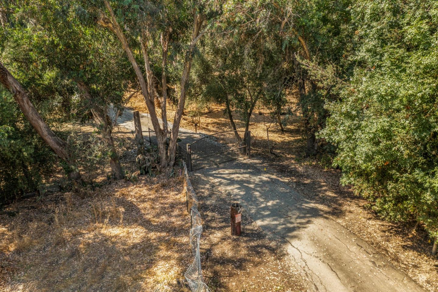 761 Fleming Avenue San Jose, CA 95127 - Photo 3 of 19 a view of a forest with trees