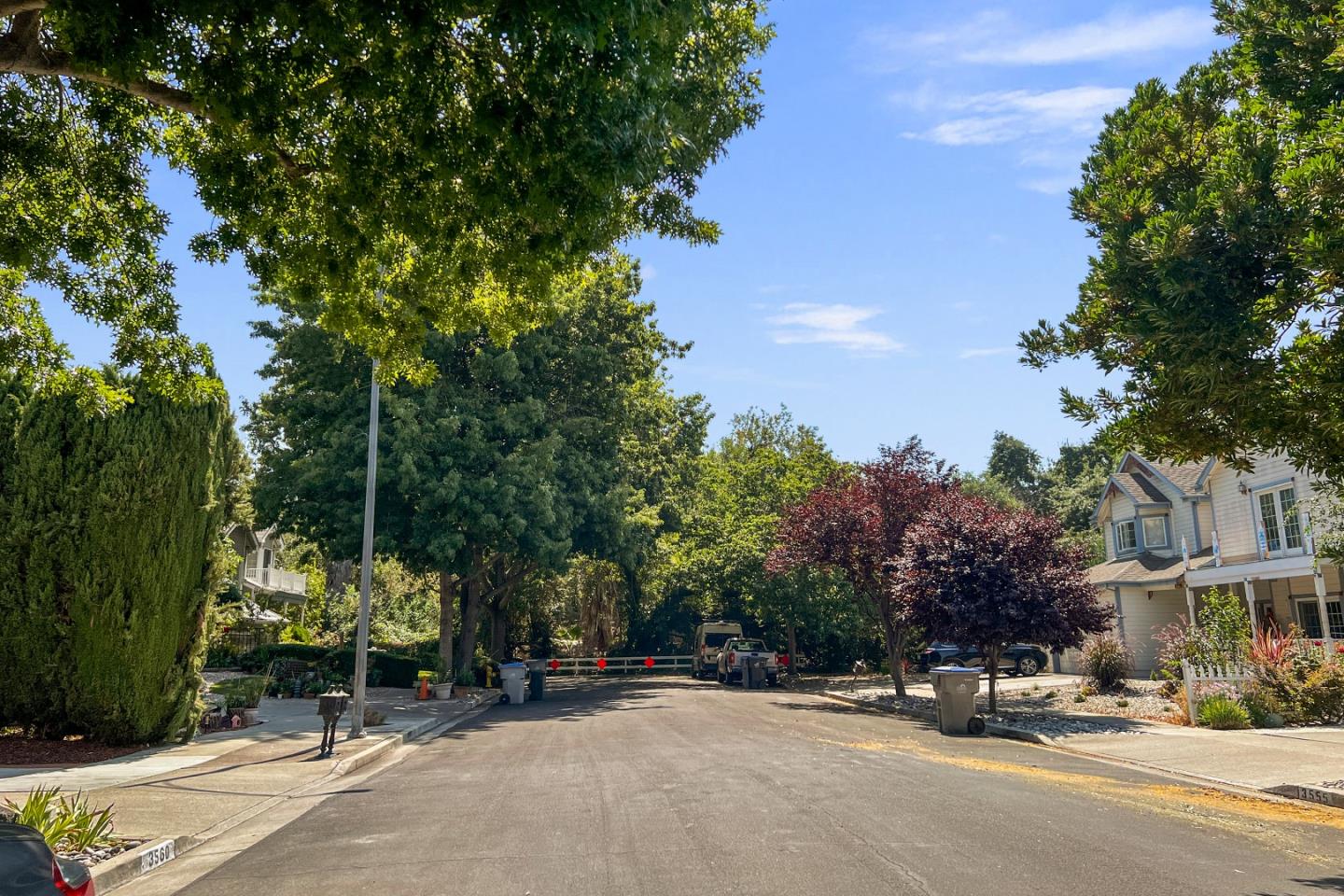 761 Fleming Avenue San Jose, CA 95127 - Photo 4 of 19 a row of palm trees sitting in a park