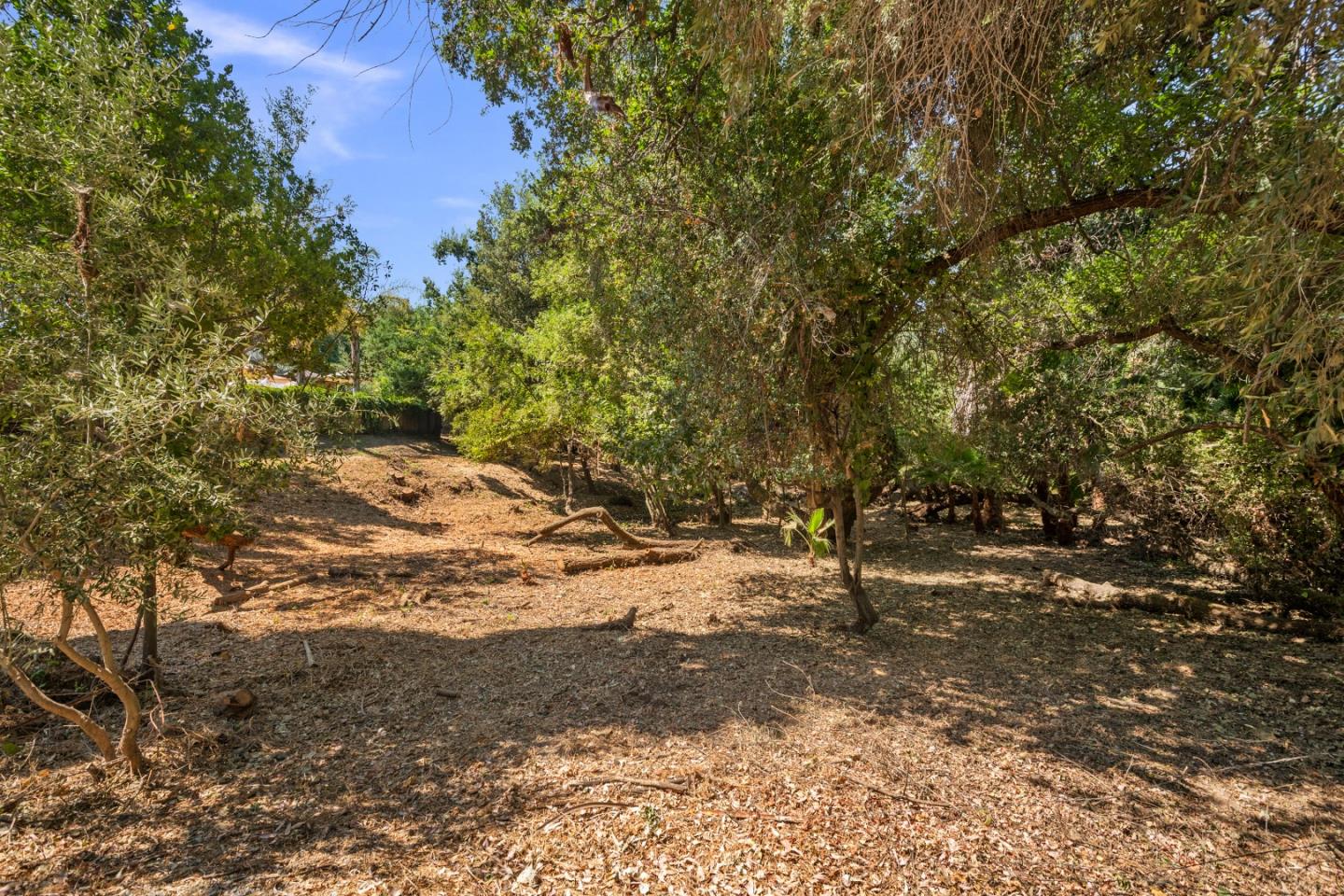 761 Fleming Avenue San Jose, CA 95127 - Photo 8 of 19 a view of dirt yard with a tree