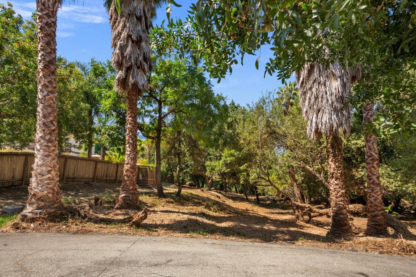 761 Fleming Avenue San Jose, CA 95127 - Photo 9 of 19 a backyard of a house with lots of green space