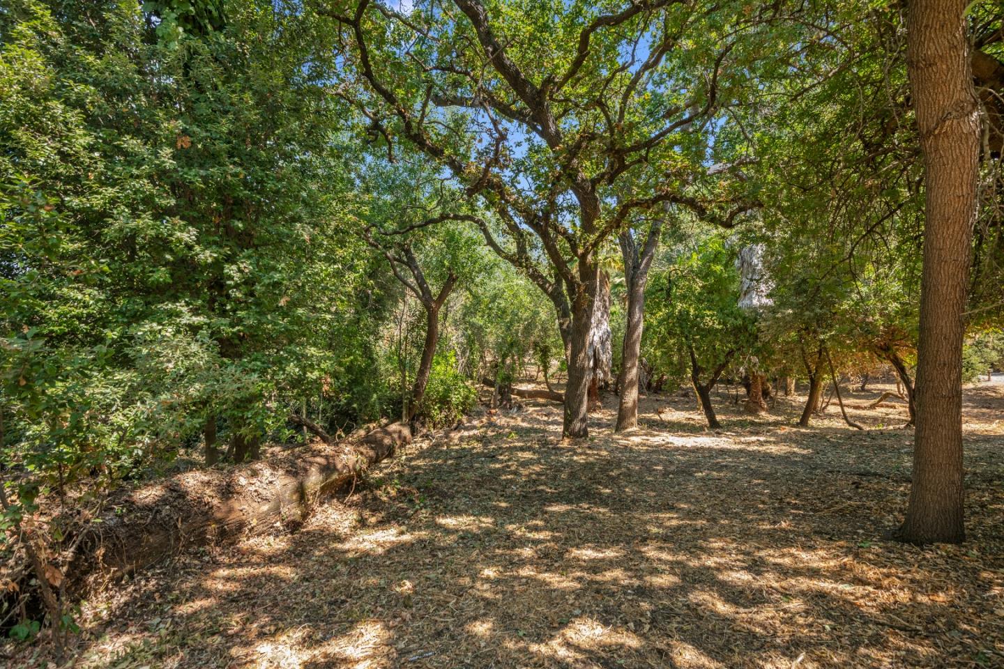 761 Fleming Avenue San Jose, CA 95127 - Photo 10 of 19 a view of outdoor space with trees