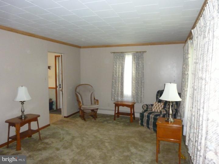 39 Monocacy Road Birdsboro, PA 19508 - Photo 5 of 19 Living Room