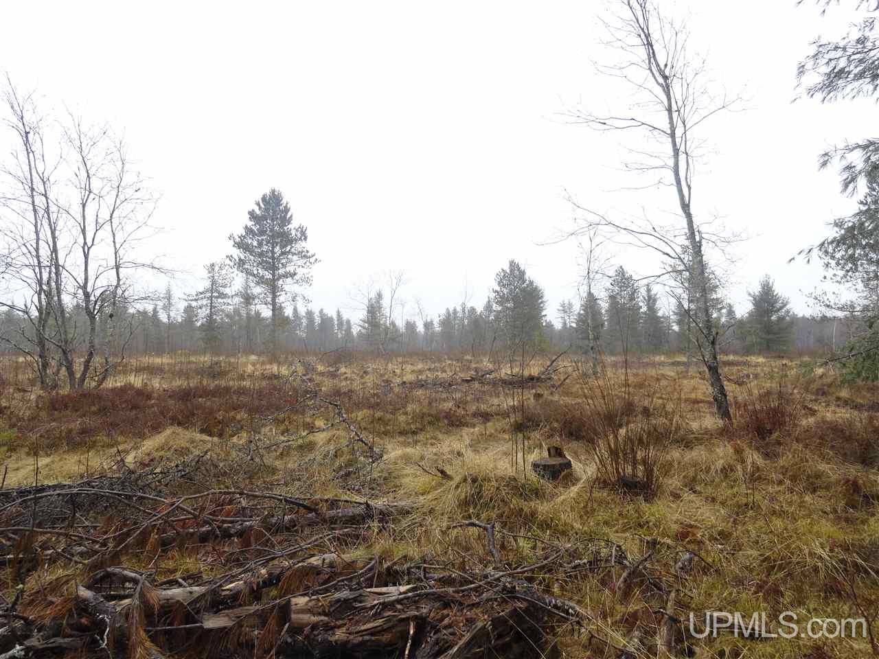 36-acres Off Flodin Road Manistique, MI 49854 - Photo 3 of 13