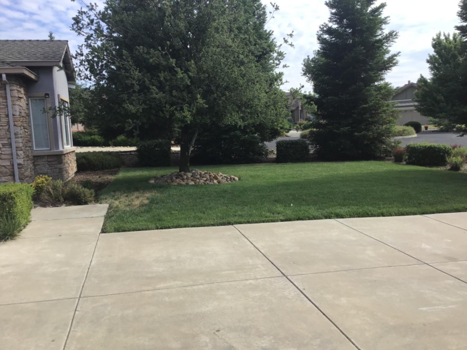 205 Quail Meadow Lane Copperopolis, CA 95228 - Photo 6 of 27 a view of backyard with green space