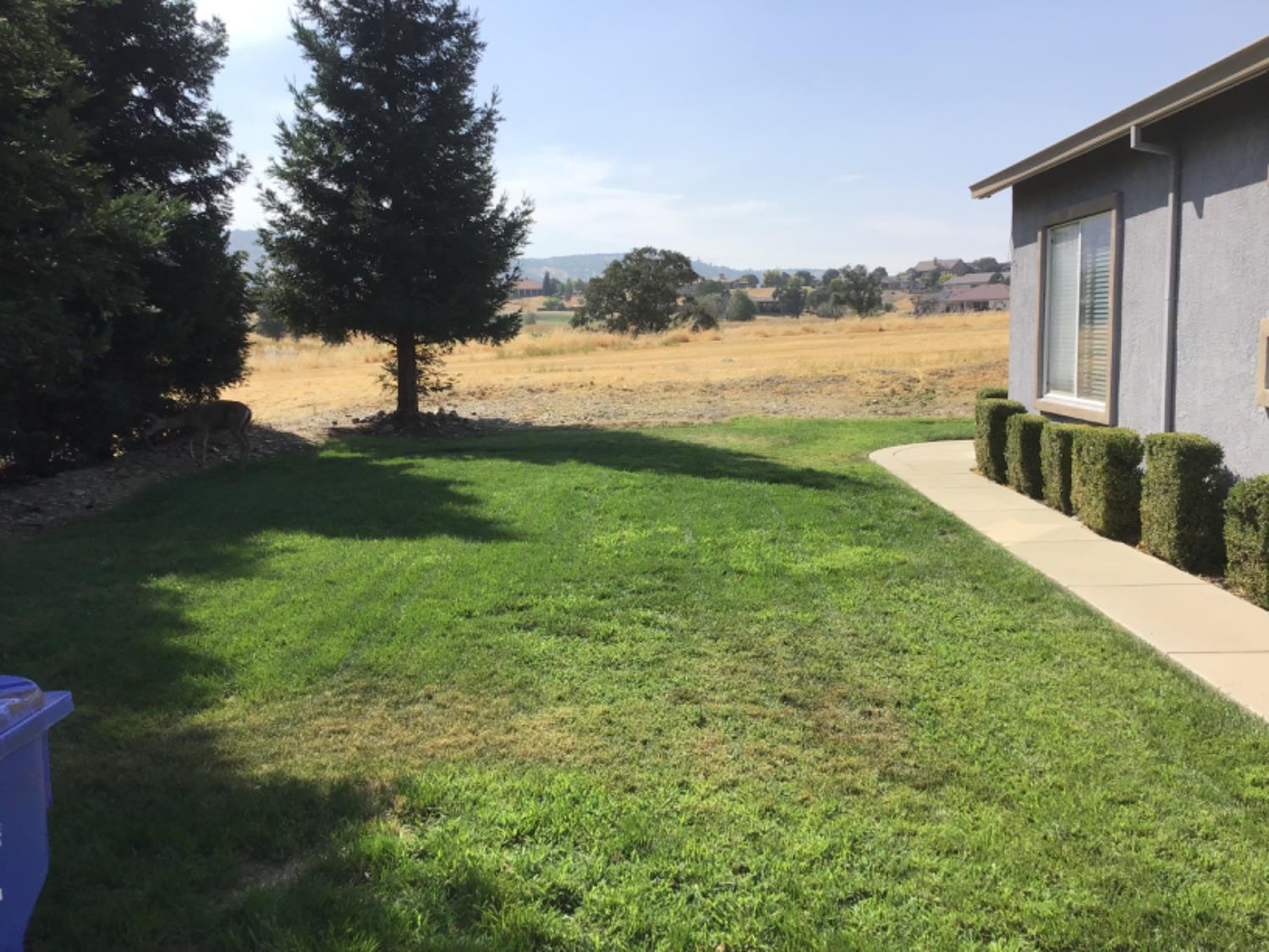 205 Quail Meadow Lane Copperopolis, CA 95228 - Photo 9 of 27 a view of a garden and mountains