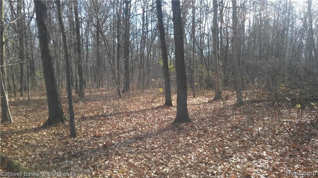 Eight West Eight Mile Road South Lyon, MI 48178 - Photo 6 of 58
