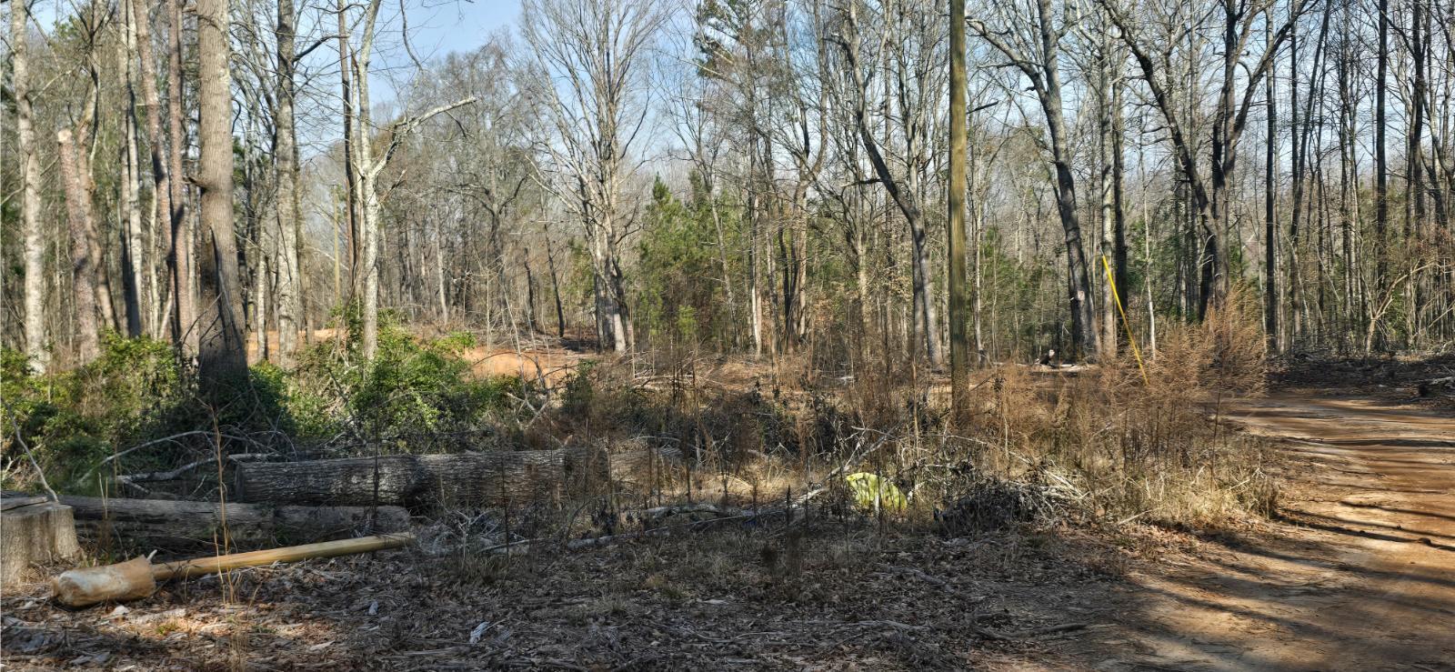 213 Lavista Road Jefferson, GA 30549 - Photo 28 of 54 20260210_105718