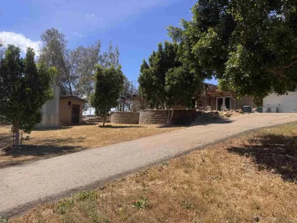 a view of a yard with plants and trees