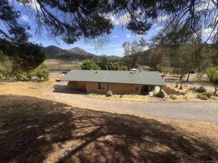 a view of a yard with a tree
