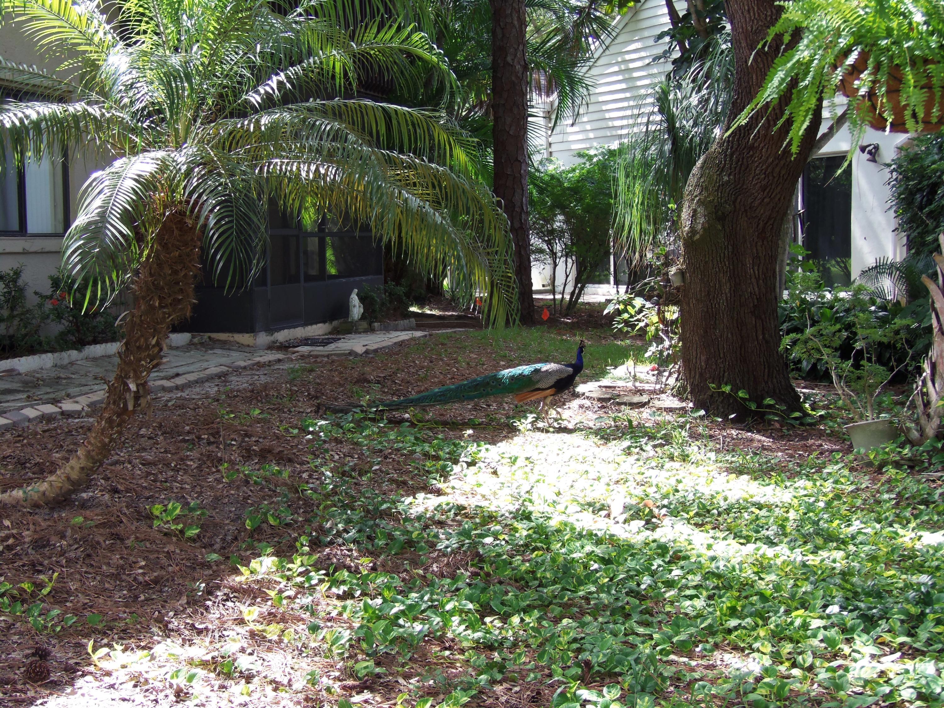 4291 Wood Ride Road, Unit E Boynton Beach, FL 33436 - Photo 28 of 30 100_6217
