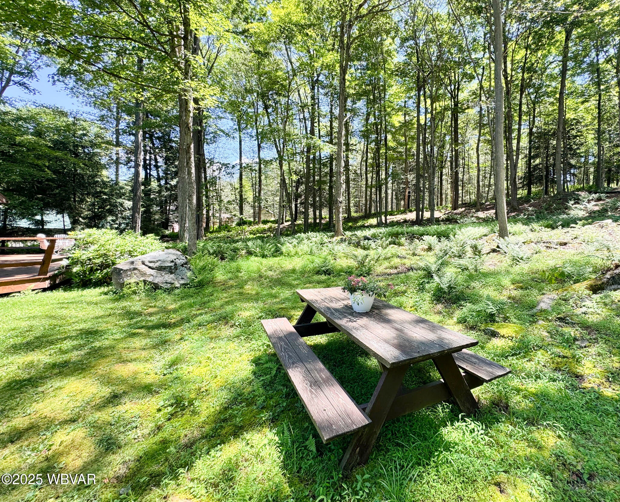 66 Raspberry Ridge Muncy Valley, PA 17758 - Photo 33 of 35 Picnic Table back yard