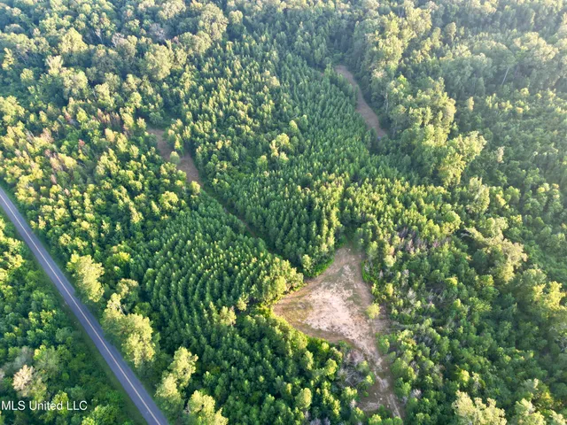 $145,000 | John I Hay Road, Hazlehurst, MS 39083