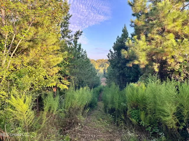 $145,000 | John I Hay Road, Hazlehurst, MS 39083