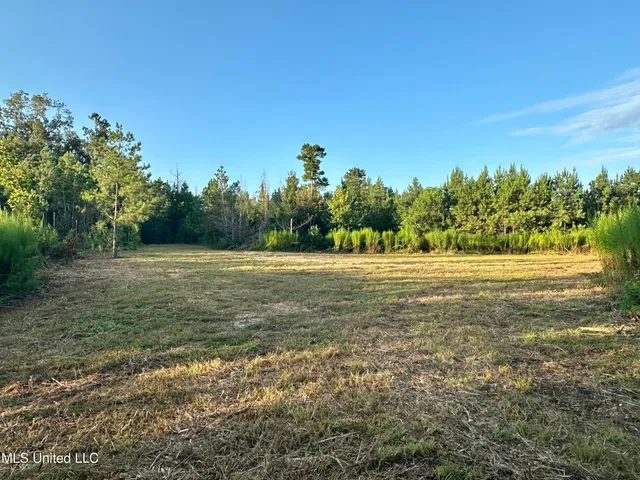 $145,000 | John I Hay Road, Hazlehurst, MS 39083