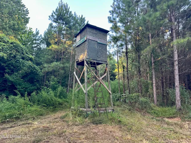 $145,000 | John I Hay Road, Hazlehurst, MS 39083