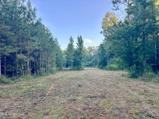 $145,000 | John I Hay Road, Hazlehurst, MS 39083