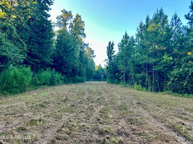 $145,000 | John I Hay Road, Hazlehurst, MS 39083