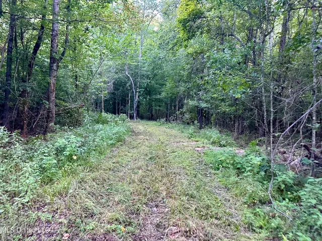 $145,000 | John I Hay Road, Hazlehurst, MS 39083