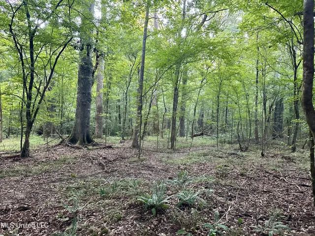 $145,000 | John I Hay Road, Hazlehurst, MS 39083