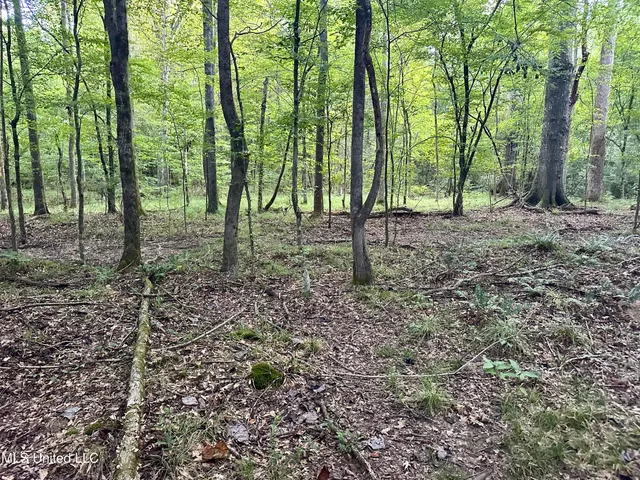 $145,000 | John I Hay Road, Hazlehurst, MS 39083