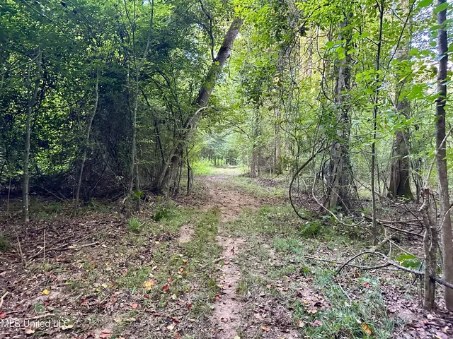 $145,000 | John I Hay Road, Hazlehurst, MS 39083