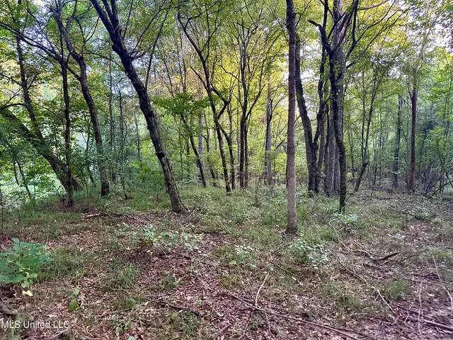 $145,000 | John I Hay Road, Hazlehurst, MS 39083