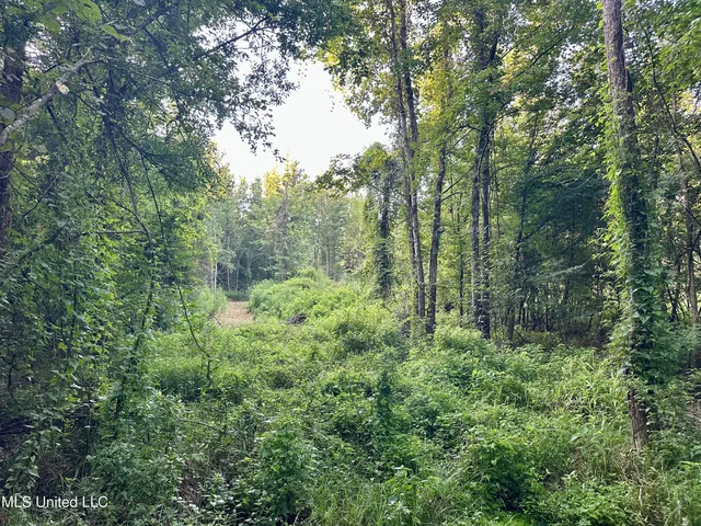 $145,000 | John I Hay Road, Hazlehurst, MS 39083