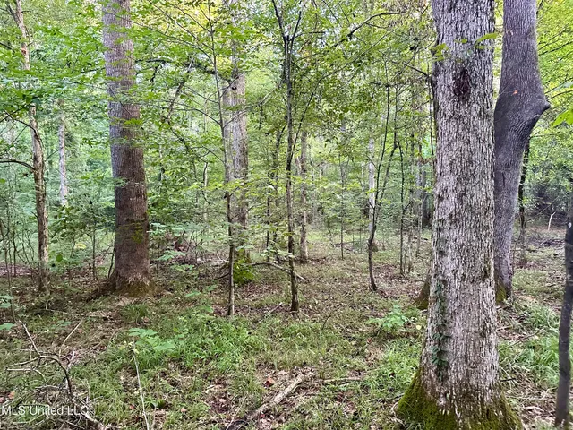 $145,000 | John I Hay Road, Hazlehurst, MS 39083