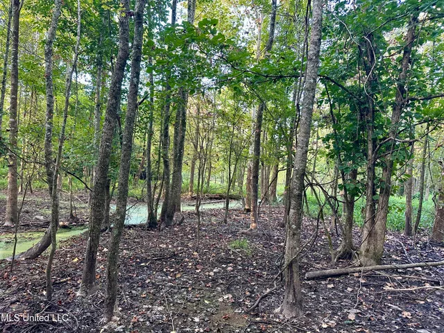 $145,000 | John I Hay Road, Hazlehurst, MS 39083