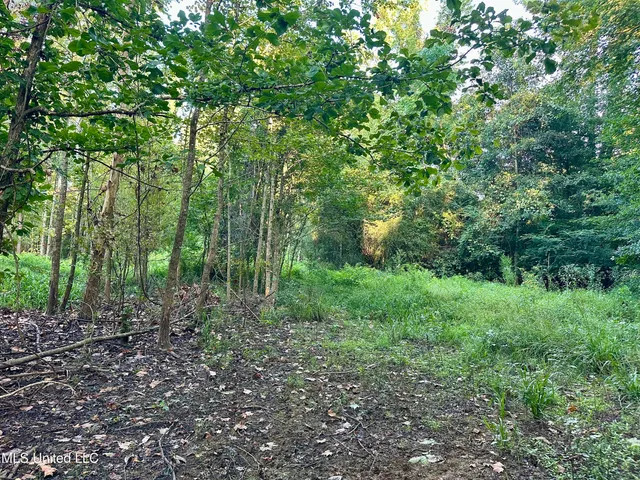 $145,000 | John I Hay Road, Hazlehurst, MS 39083