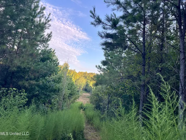 $145,000 | John I Hay Road, Hazlehurst, MS 39083