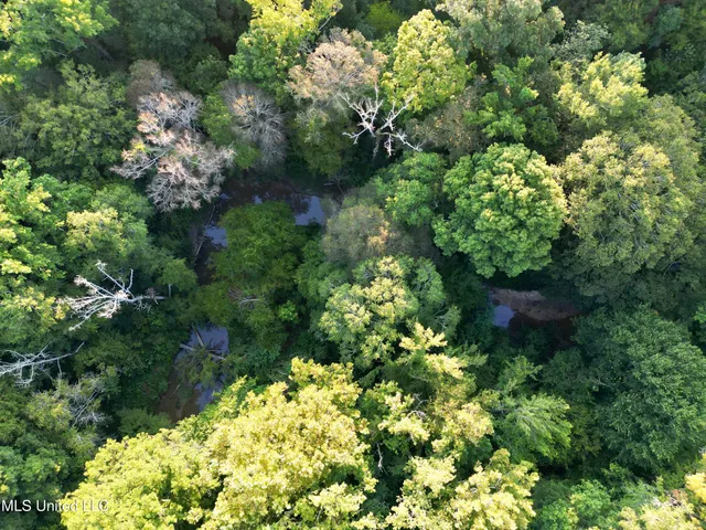 $145,000 | John I Hay Road, Hazlehurst, MS 39083