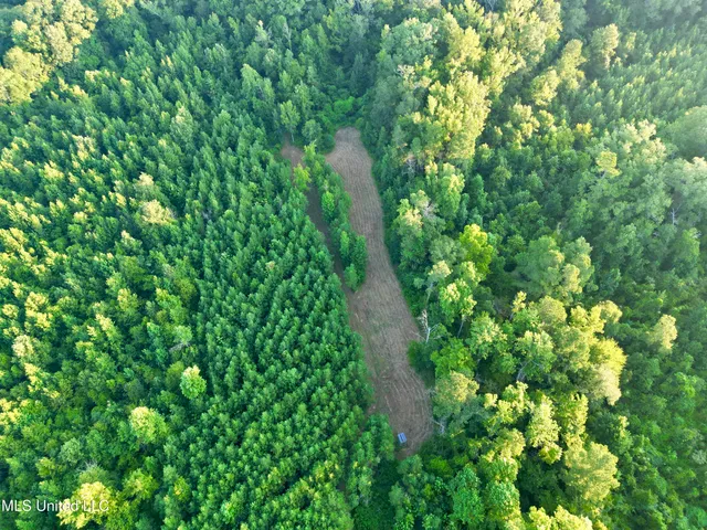 $145,000 | John I Hay Road, Hazlehurst, MS 39083