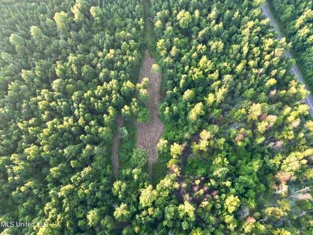 $145,000 | John I Hay Road, Hazlehurst, MS 39083