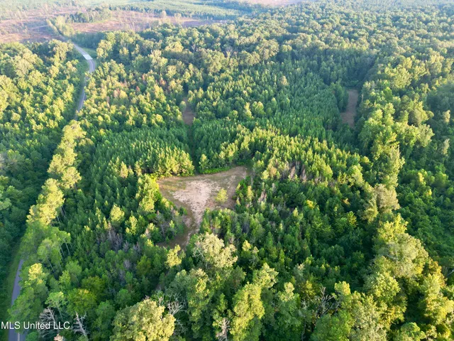 $145,000 | John I Hay Road, Hazlehurst, MS 39083