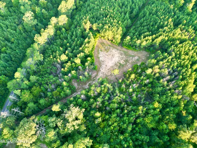 $145,000 | John I Hay Road, Hazlehurst, MS 39083