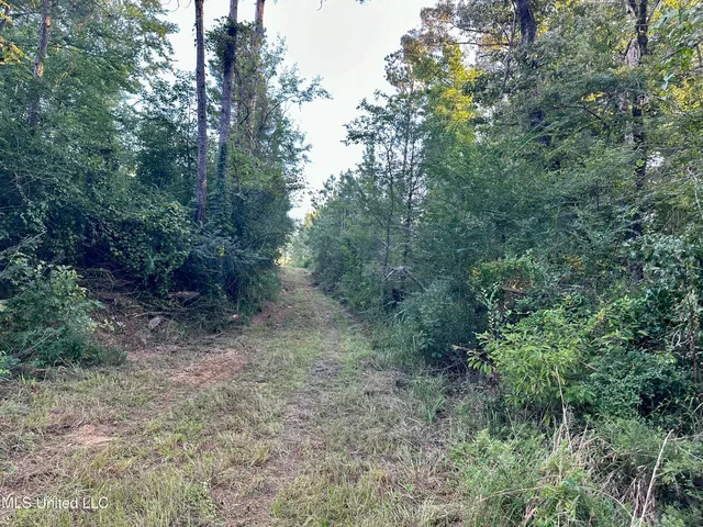 $145,000 | John I Hay Road, Hazlehurst, MS 39083
