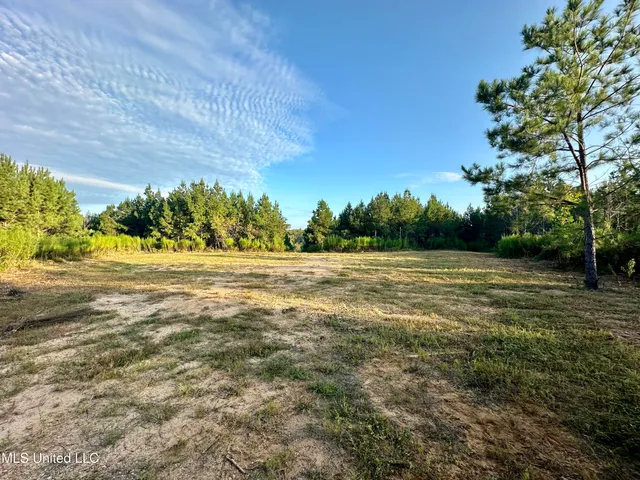 $145,000 | John I Hay Road, Hazlehurst, MS 39083