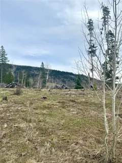 a view of a yard with an trees