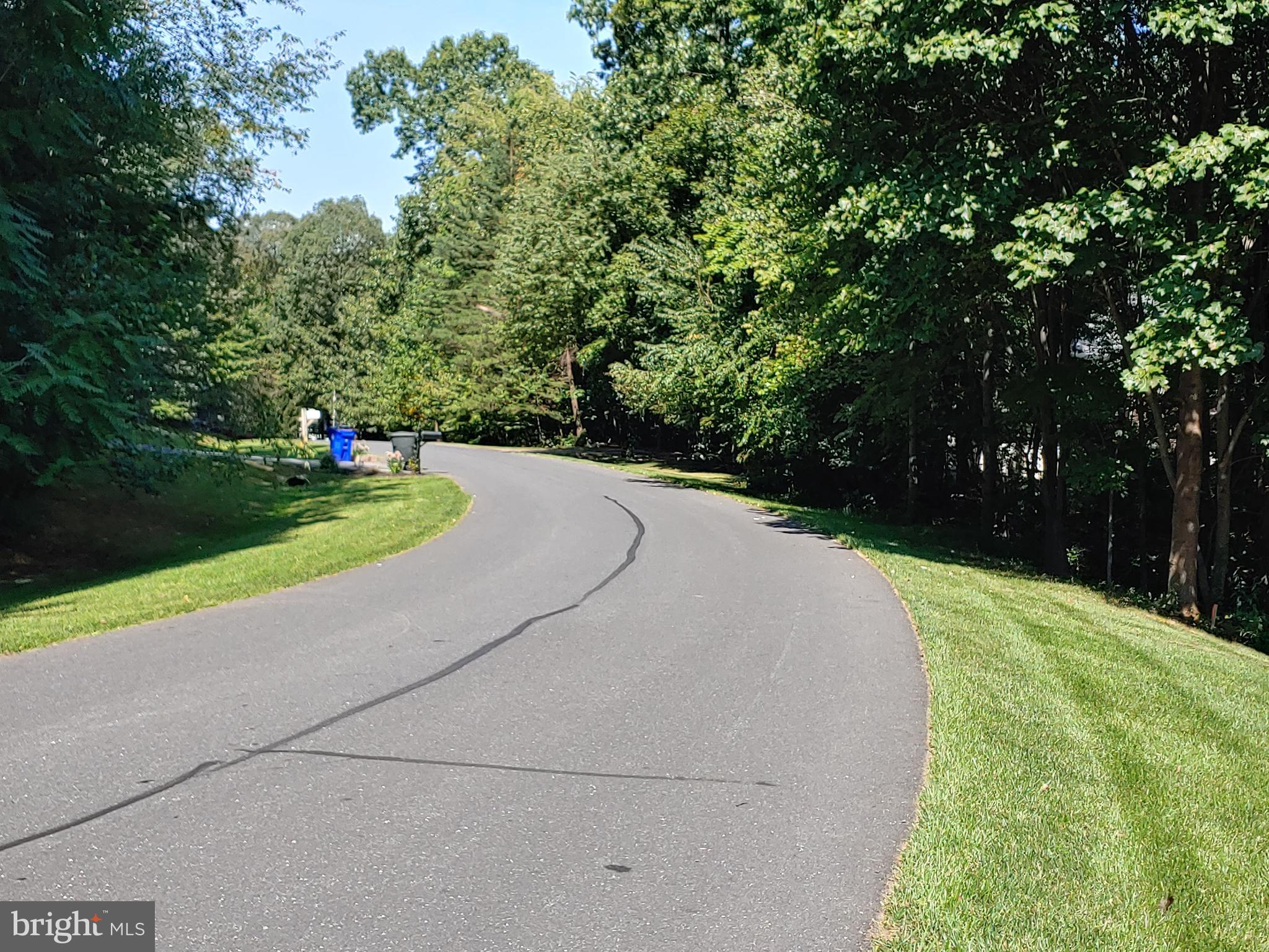a view of a road with a yard