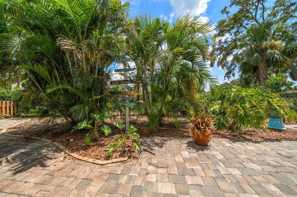 301 Cevera Road Dunedin, FL 34698 - Photo 24 of 33 a view of a backyard of the house