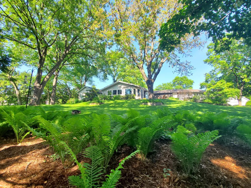 130 Cheval Lane Northeast Rochester, MN 55906 - Photo 1 of 1
