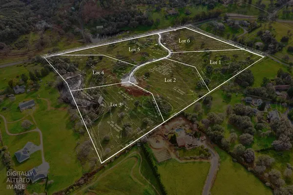 a view of a yard with plants