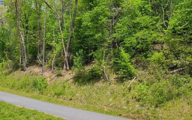 $31,000 | 101 River Mountain Road, Murphy, NC 28906