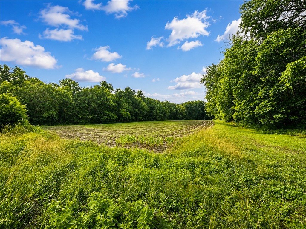 1270 East County Road Lerna, IL 62440 - Photo 1 of 4
