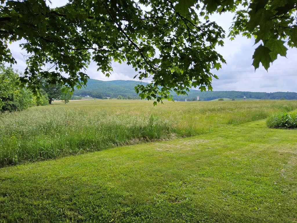917 Rural Retreat Lake Road Rural Retreat, VA 24368 - Photo 27 of 32 Gallery Image 27